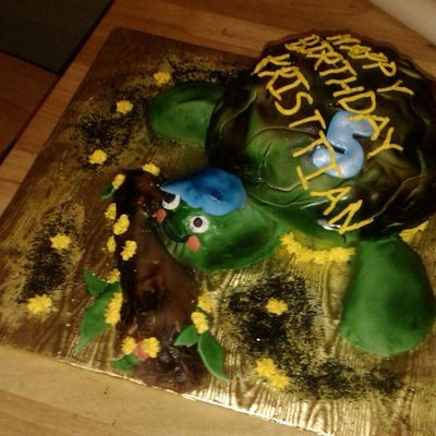 Turtle Birthday Cake