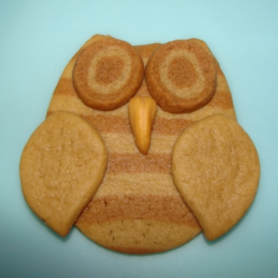 Owl Refrigerator Cookie