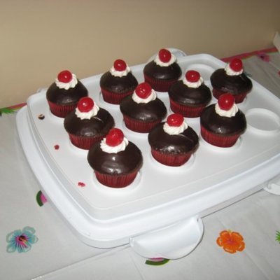 Chocolate Cupcakes