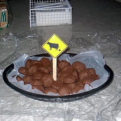 Cow Pie Cookies!