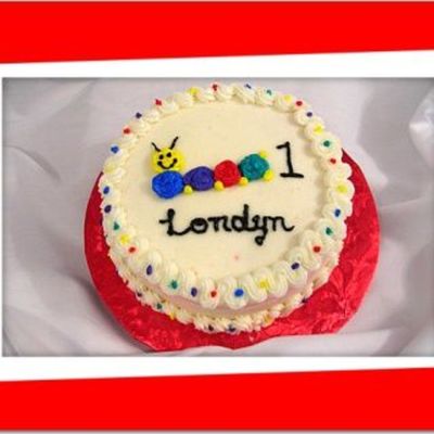 Baby Einstein Smash Cake