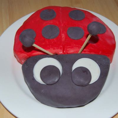 Ladybug