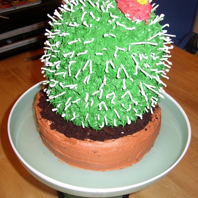 Cactus