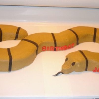 Snake Cake