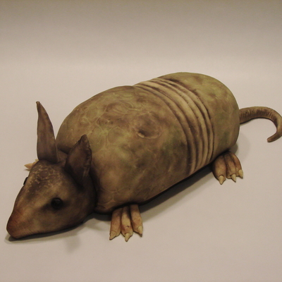 Armadillo Cakelet