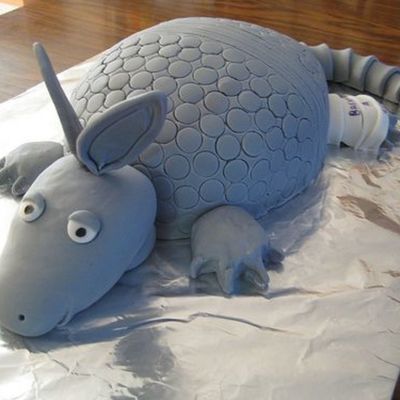 Armadillo W/ Broken Leg :)