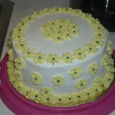 Wilton Course I Class 3 Cake