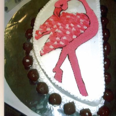 Flamingo Cake