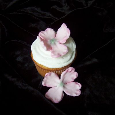 Dogwood Cupcakes