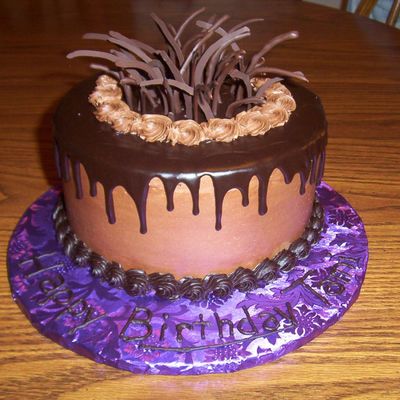 Tami Bd