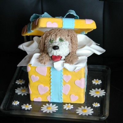 Little Dog In A Gift Box