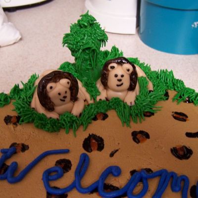 Jungle Theme Baby Shower