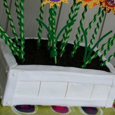 Planter Box Cake