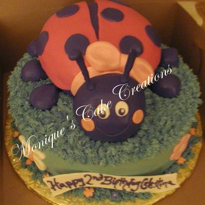 Lady Bug