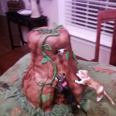 David's Cake