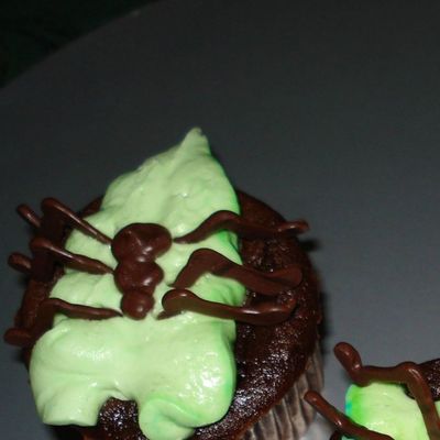 Spider Cupcakes