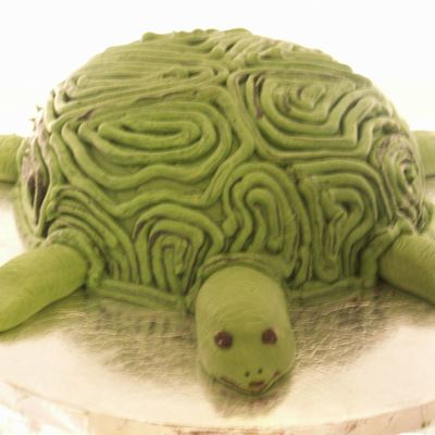 Turtle Cake