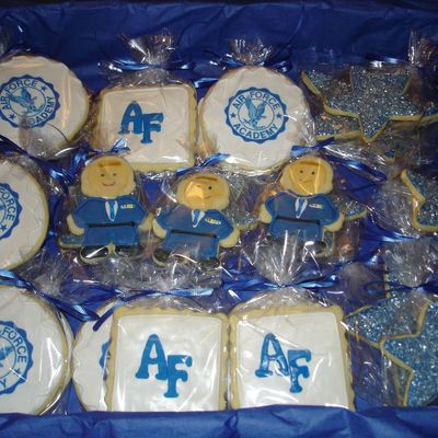 Air Force Cookies