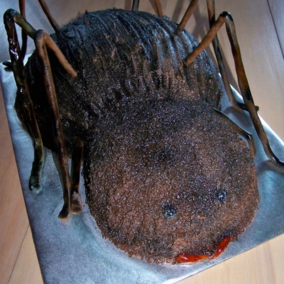 Spider Cake 2.0