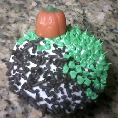 Pumpkin Patch