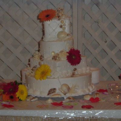 Chocolate Sea Shell Wedding Cake