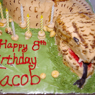 Rattlesnake Birthday Cake