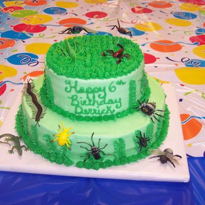 Bug Cake