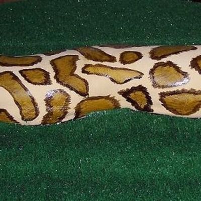 Snake Cake For 12 Year Old Boy