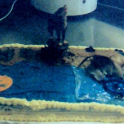 Dreamcatcher Southwestern Cake!