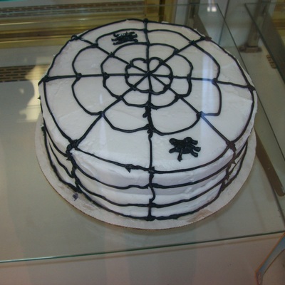 Spider Web