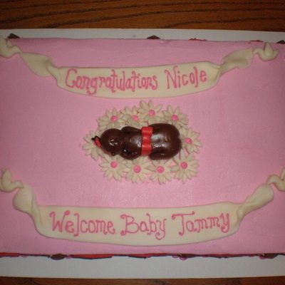 Girl Baby Shower