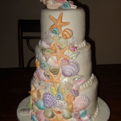 Seashells