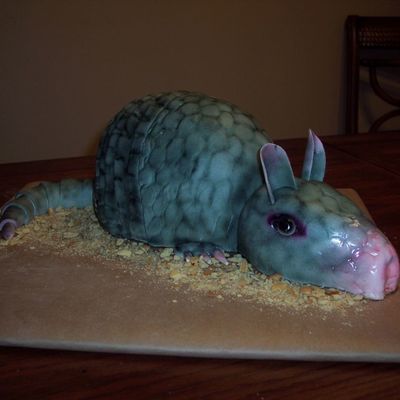 Armadillo
