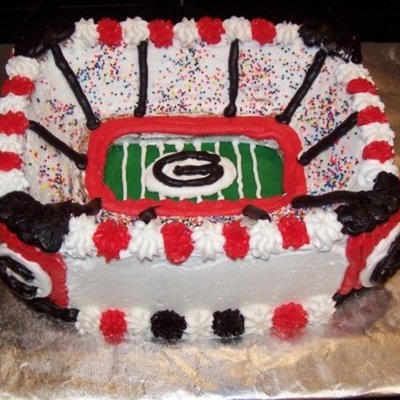 Stadium Cake