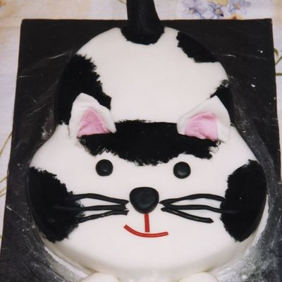 Fondant Cat