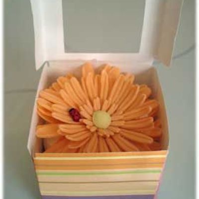 Sawyer's Gerbera Daisy Cupcake
