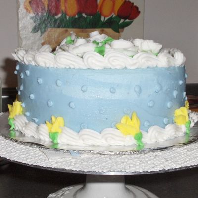 Wilton Class 2 Final Cake