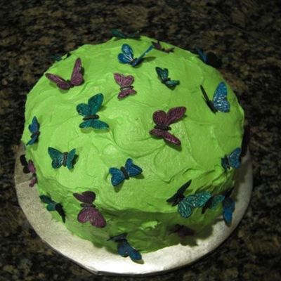 Butterfly Birthday