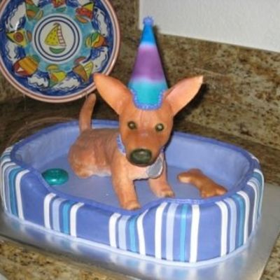 Chihuahua Birthday