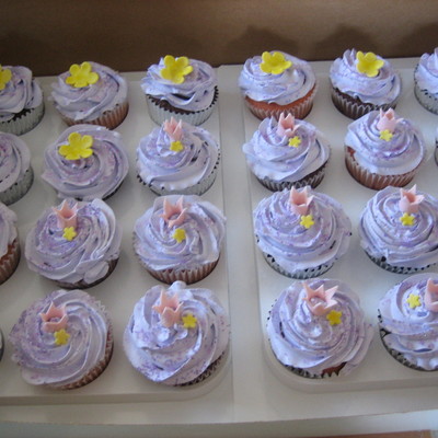 Princess Cupcakes/castle Cake