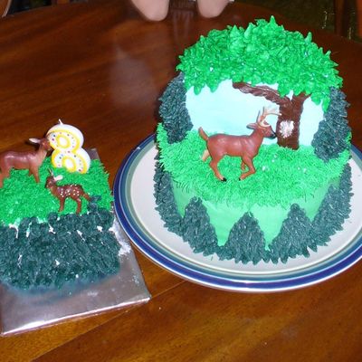 Spencer's Deer Cake