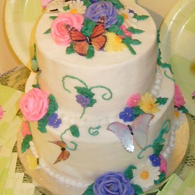 Kelly's Butterfly Cake