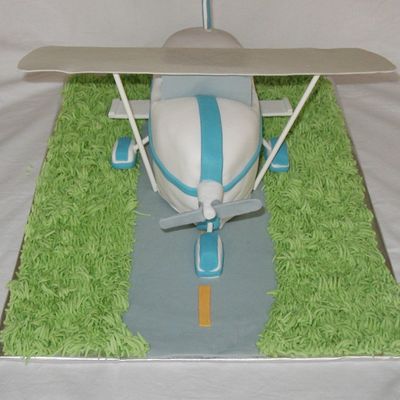 Airplane Grooms Cake