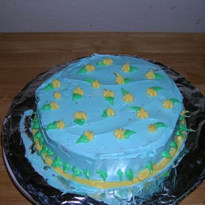 Kaylynn's First Cake