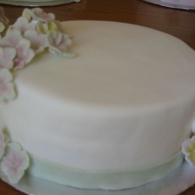 Pink And Green Hydrangea