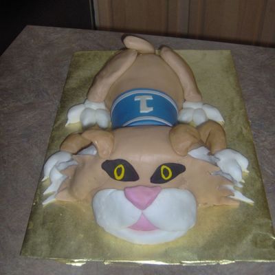 Kentucky Wildcat Birthday Cake