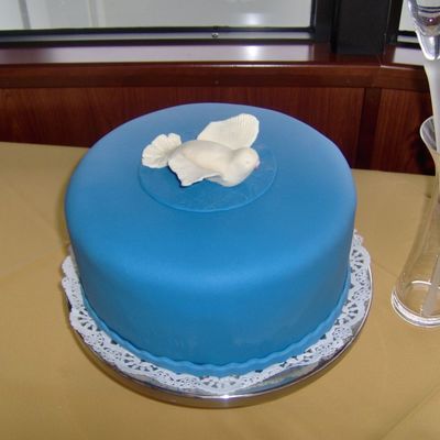 White Dove Groom's Cake