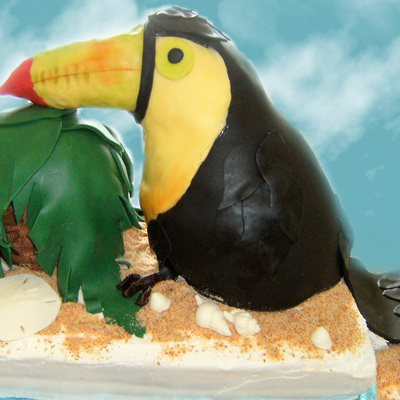 Toucan