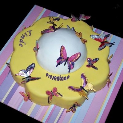 Butterfly Cake