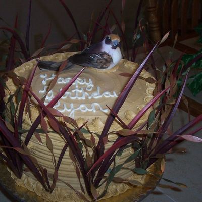 Bird Hidden In Grass